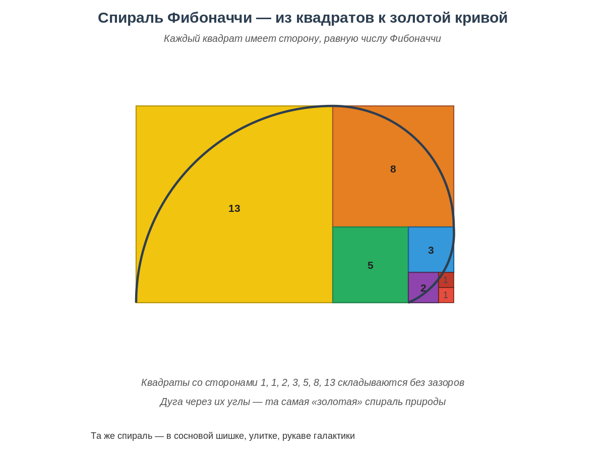Спираль Фибоначчи из квадратов со сторонами 1, 1, 2, 3, 5, 8, 13