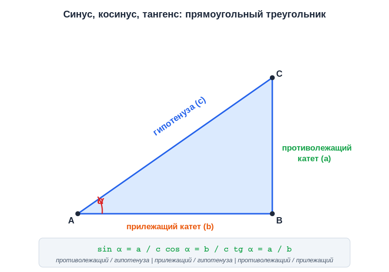 Прямоугольный треугольник: синус, косинус, тангенс и их определения