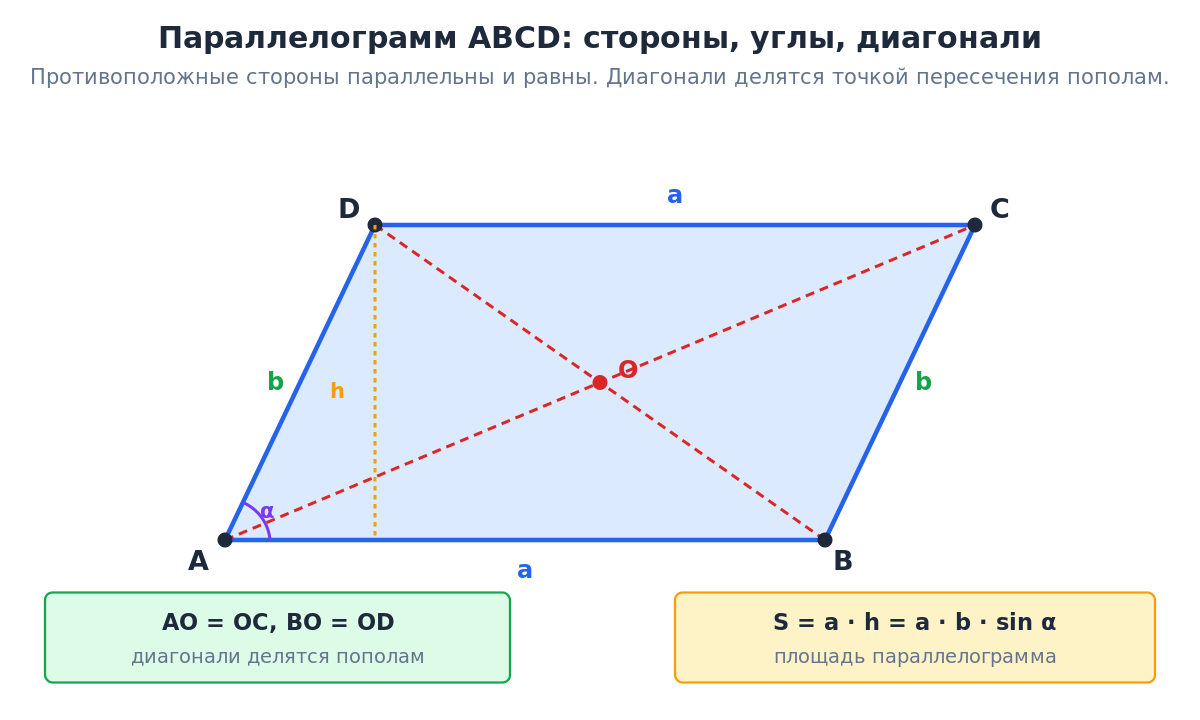 Параллелограмм ABCD: стороны, углы, диагонали