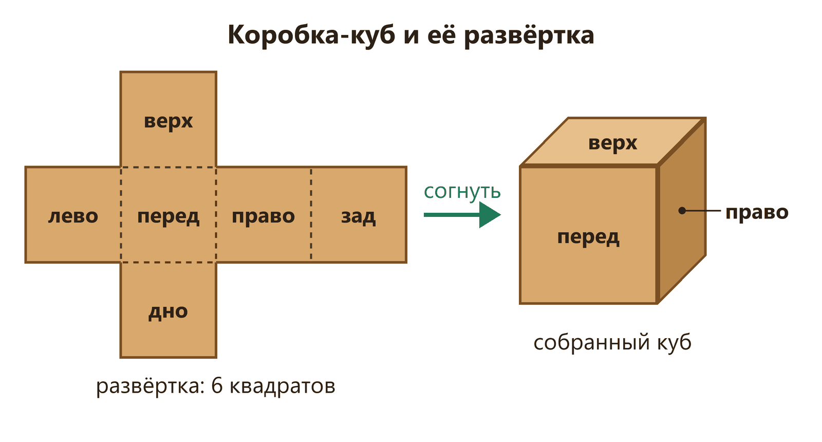 Картонная развёртка куба из шести квадратов крестом — верх, лево, перед, право, зад, дно — и рядом собранная из неё закрытая коробка-куб