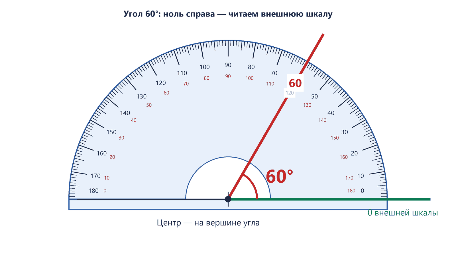 Транспортир измеряет угол 60 градусов: вершина в центре, одна сторона на нуле внешней шкалы, вторая проходит через 60