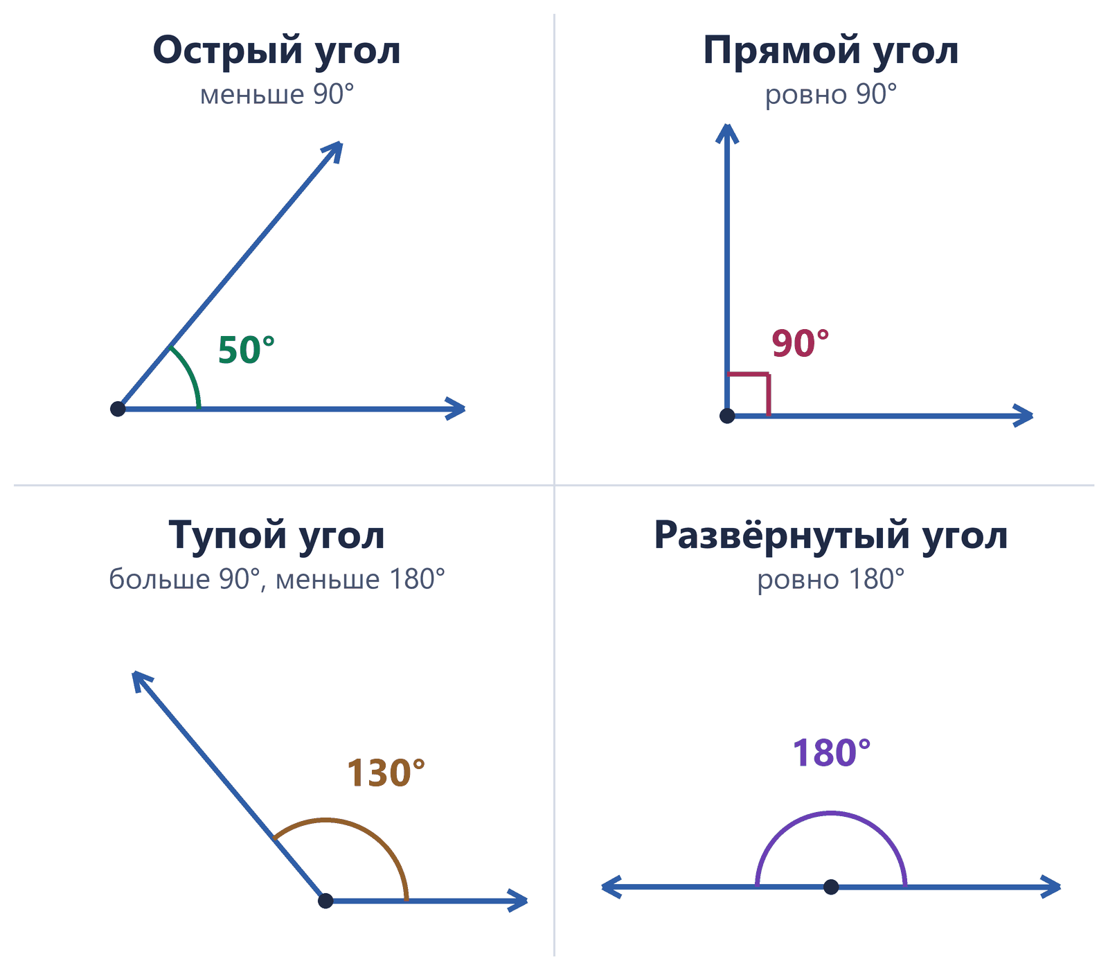 Четыре угла из двух лучей с общей вершиной: острый 50°, прямой 90° с квадратиком, тупой 130° и развёрнутый 180°